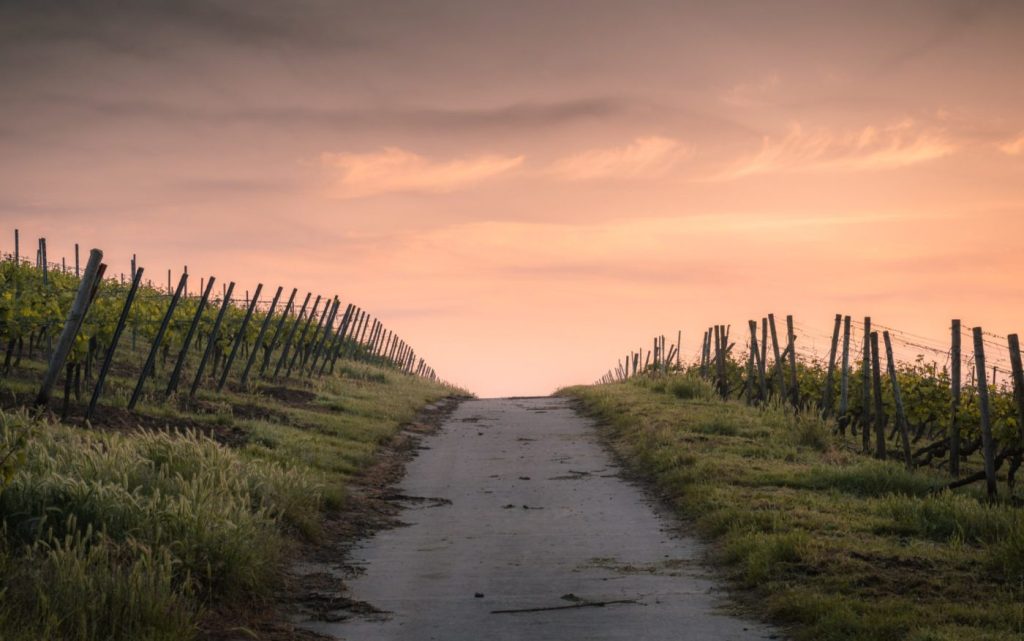Image of fence-lined path heading toward a beautiful, unseen view