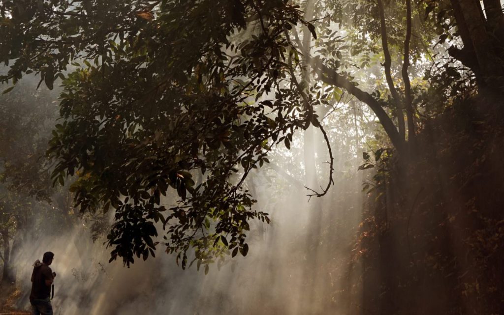 Sunlight streaming in on a silhouetted person in a forest
