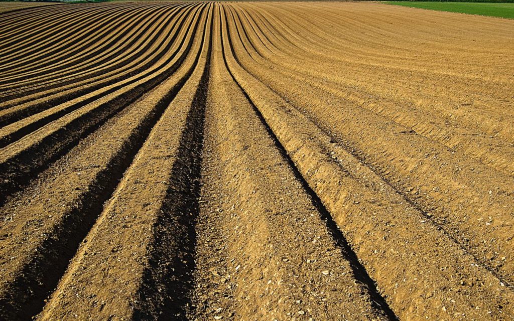 Photo of agricultural terrain